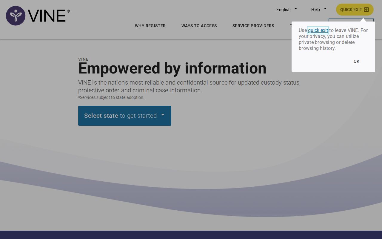 Michigan VINELink search entry for Saginaw County release notifications